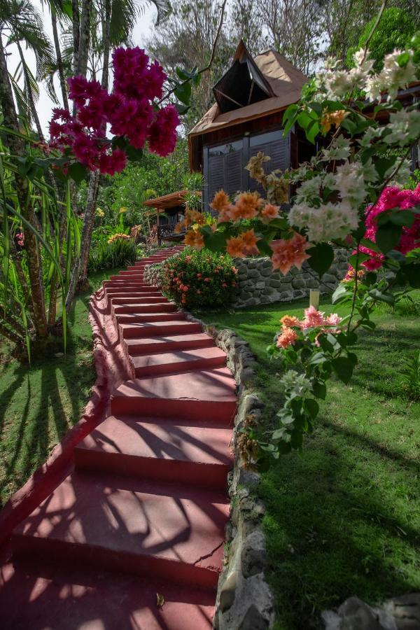 Hotel El Jardin Montezuma Kültér fotó