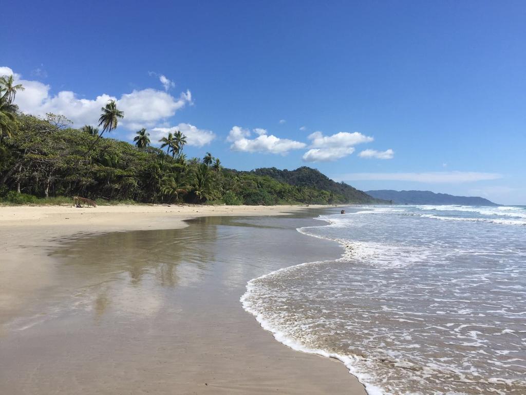 Hotel El Jardin Montezuma Kültér fotó